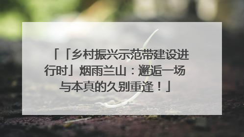 「乡村振兴示范带建设进行时」烟雨兰山：邂逅一场与本真的久别重逢！