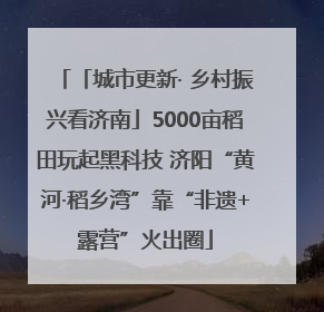 「城市更新· 乡村振兴看济南」5000亩稻田玩起黑科技 济阳“黄河·稻乡湾”靠“非遗+露营”火出圈