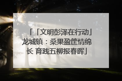 「文明彭泽在行动」龙城镇：桑果盈筐情绵长 育践五柳报春晖