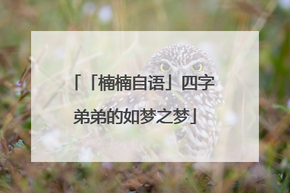 「楠楠自语」四字弟弟的如梦之梦