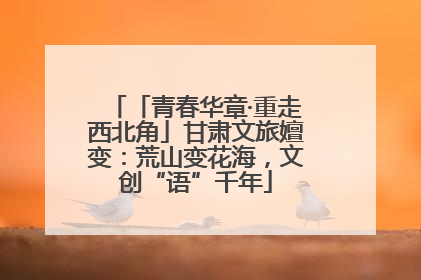 「青春华章·重走西北角」甘肃文旅嬗变：荒山变花海，文创“语”千年