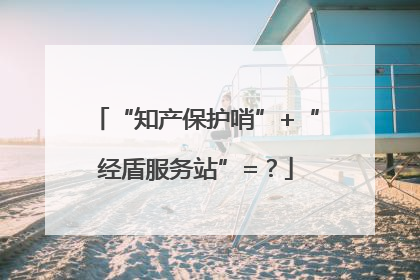 “知产保护哨”+“经盾服务站”=？