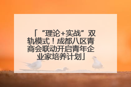 “理论+实战”双轨模式！成都八区青商会联动开启青年企业家培养计划