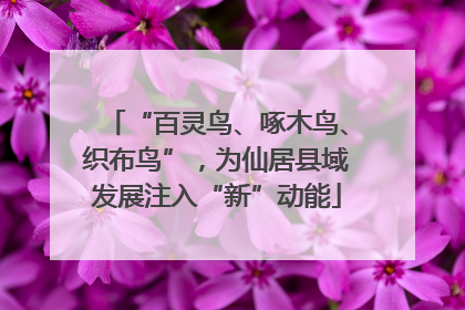 “百灵鸟、啄木鸟、织布鸟”，为仙居县域发展注入“新”动能