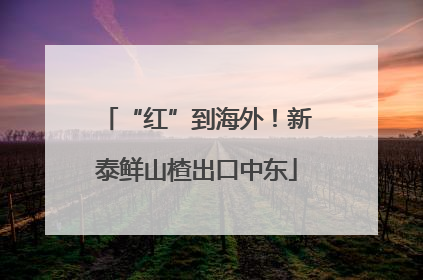 “红”到海外！新泰鲜山楂出口中东