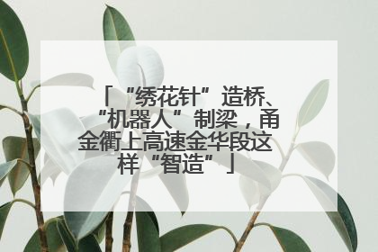 “绣花针”造桥、“机器人”制梁，甬金衢上高速金华段这样“智造”