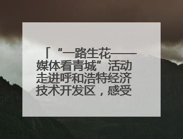 “一路生花——媒体看青城”活动走进呼和浩特经济技术开发区，感受发展新动能