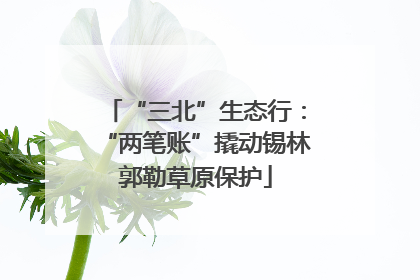 “三北”生态行：“两笔账”撬动锡林郭勒草原保护
