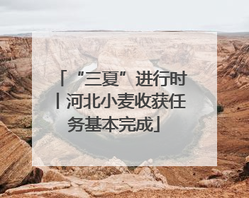 “三夏”进行时丨河北小麦收获任务基本完成