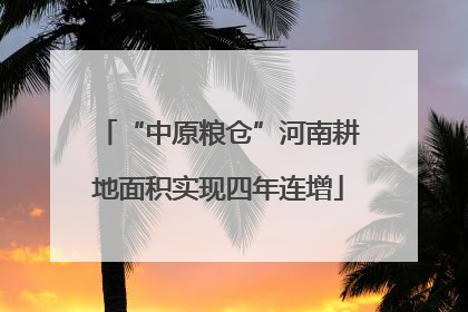 “中原粮仓”河南耕地面积实现四年连增