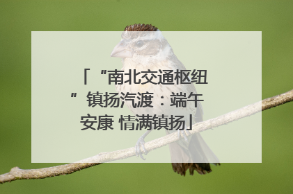 “南北交通枢纽”镇扬汽渡：端午安康 情满镇扬