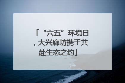 “六五”环境日，大兴廊坊携手共赴生态之约