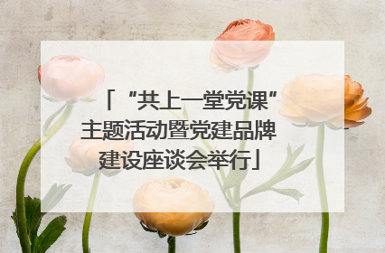 “共上一堂党课”主题活动暨党建品牌建设座谈会举行