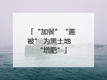 “加餐”“盖被” 为黑土地“增肥”