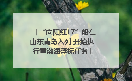 “向阳红17”船在山东青岛入列 开始执行黄渤海浮标任务