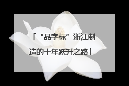 “品字标”浙江制造的十年跃升之路