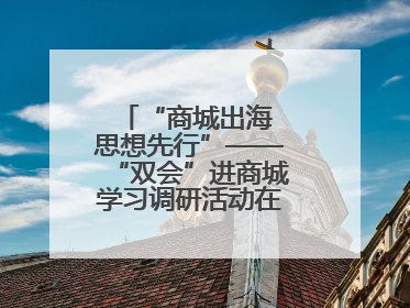 “商城出海 思想先行”——“双会”进商城学习调研活动在临沂顺利开展