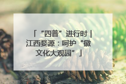“四普”进行时｜江西婺源：呵护“徽文化大观园”