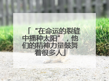 “在命运的裂缝中播种太阳”，他们的精神力量鼓舞着很多人