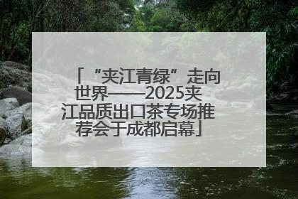 “夹江青绿”走向世界——2025夹江品质出口茶专场推荐会于成都启幕