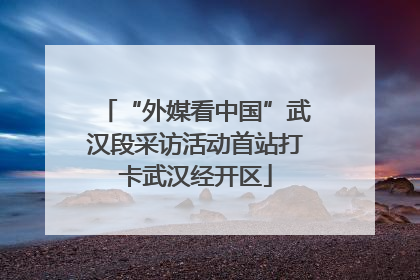 “外媒看中国”武汉段采访活动首站打卡武汉经开区