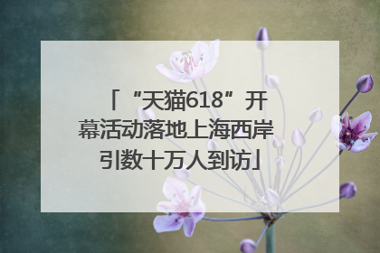 “天猫618”开幕活动落地上海西岸 引数十万人到访