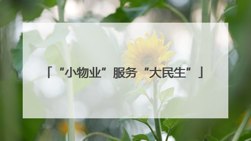 “小物业”服务“大民生”