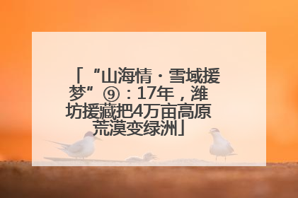 “山海情・雪域援梦”⑨:17年,潍坊援藏把4万亩高原荒漠变绿洲