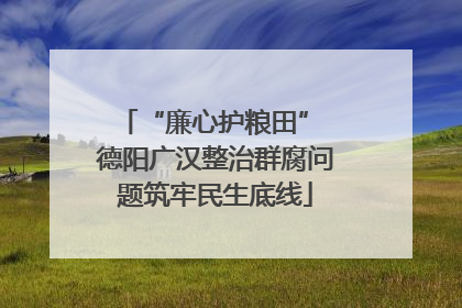 “廉心护粮田” 德阳广汉整治群腐问题筑牢民生底线