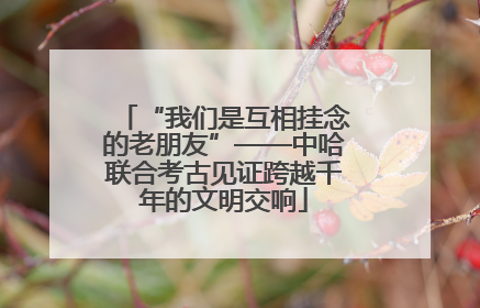 “我们是互相挂念的老朋友”——中哈联合考古见证跨越千年的文明交响