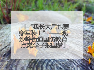 “我长大后也要穿军装！”——观沙岭街道国防教育点燃学子报国梦