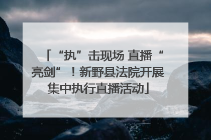 “执”击现场 直播“亮剑”！新野县法院开展集中执行直播活动