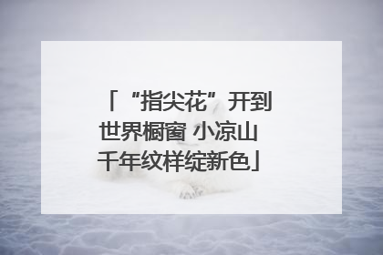 “指尖花”开到世界橱窗 小凉山千年纹样绽新色