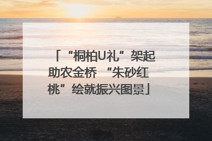 “桐柏U礼”架起助农金桥 “朱砂红桃”绘就振兴图景