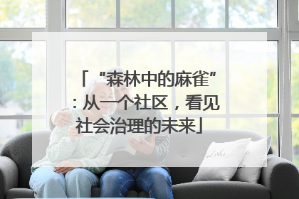 “森林中的麻雀”：从一个社区，看见社会治理的未来