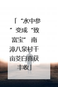 “水中参”变成“致富宝” 南漳八泉村千亩茭白喜获丰收