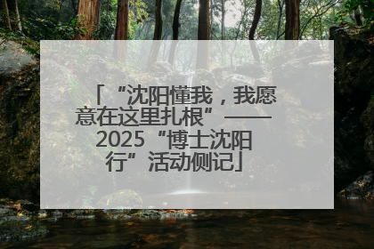“沈阳懂我，我愿意在这里扎根”——2025“博士沈阳行”活动侧记