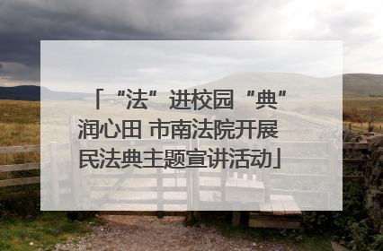 “法”进校园“典”润心田 市南法院开展民法典主题宣讲活动