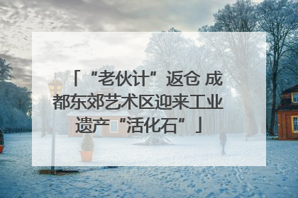 “老伙计”返仓 成都东郊艺术区迎来工业遗产“活化石”