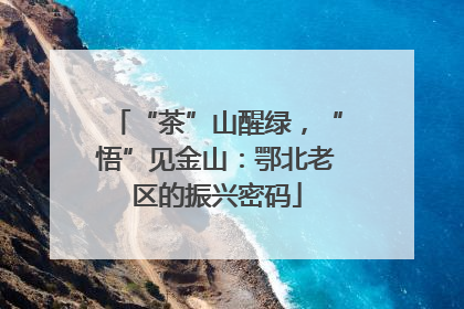 “茶”山醒绿，“悟”见金山：鄂北老区的振兴密码