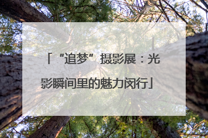 “追梦”摄影展：光影瞬间里的魅力闵行