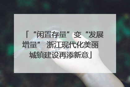 “闲置存量”变“发展增量” 浙江现代化美丽城镇建设再添新意