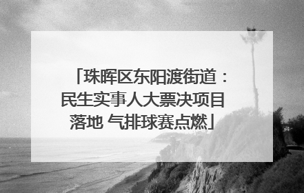 珠晖区东阳渡街道：民生实事人大票决项目落地 气排球赛点燃