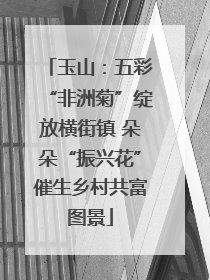 玉山：五彩“非洲菊”绽放横街镇 朵朵“振兴花”催生乡村共富图景