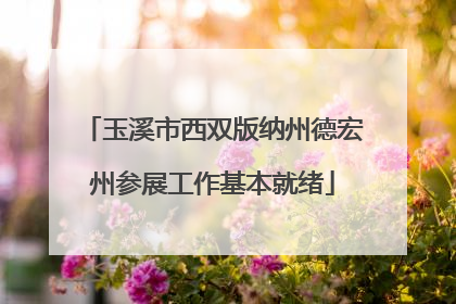 玉溪市西双版纳州德宏州参展工作基本就绪