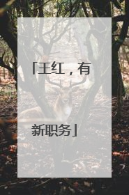 王红，有新职务