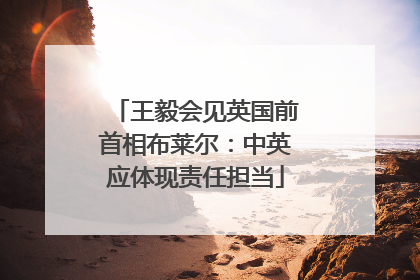 王毅会见英国前首相布莱尔：中英应体现责任担当