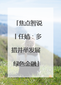 焦点智说丨任婧：多措并举发展绿色金融