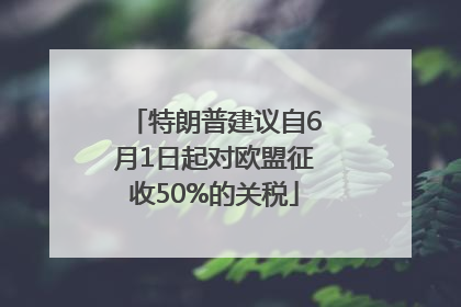 特朗普建议自6月1日起对欧盟征收50%的关税