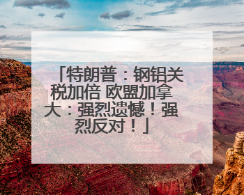 特朗普：钢铝关税加倍 欧盟加拿大：强烈遗憾！强烈反对！